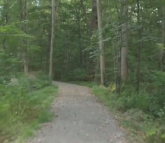 video3