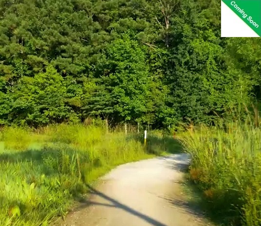 video1