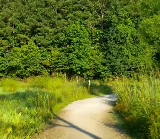 video1