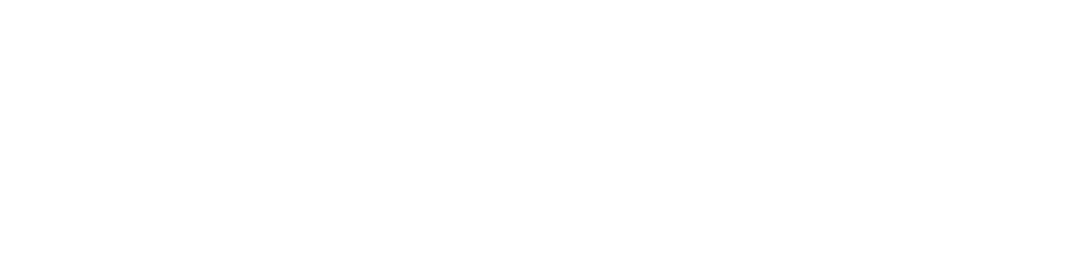 wired logo
